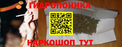 мяу мяу мука Будённовск