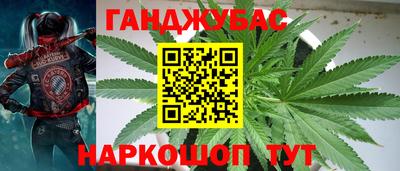 мяу мяу мука Будённовск