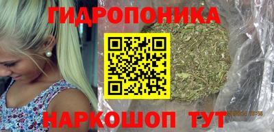 мяу мяу мука Будённовск