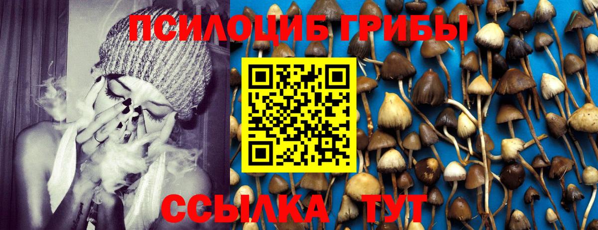 Псилоцибиновые грибы мицелий  Вход с VPN  Тавда  Псилоцибиновые грибы мухоморы 